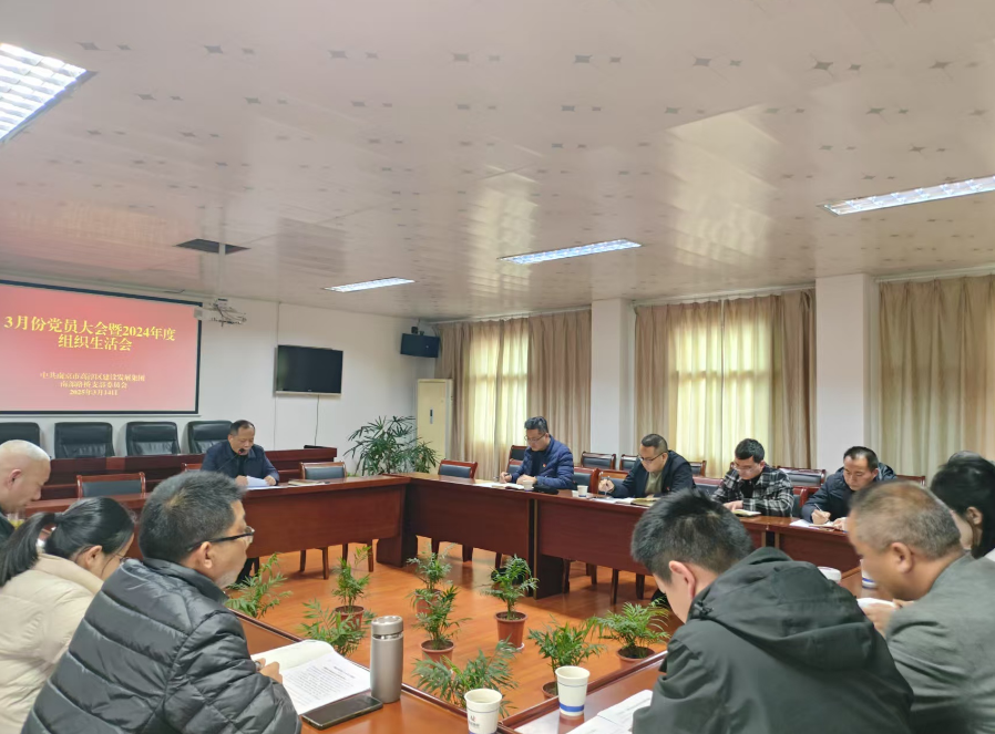 查擺問題強黨性 見行見效建新功——南部路橋黨支部召開3月份黨員大會暨2024年度組織生活會